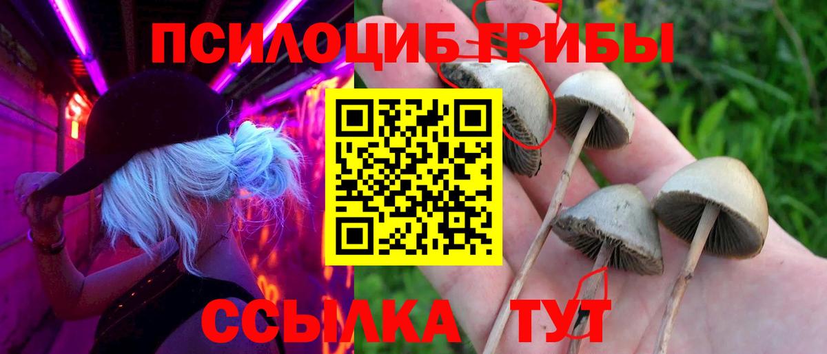 Елабуга  Псилоцибиновые грибы ЛСД  Галлюциногенные грибы MAGIC MUSHROOMS  Вход с VPN 